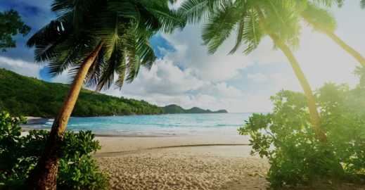 Tropical